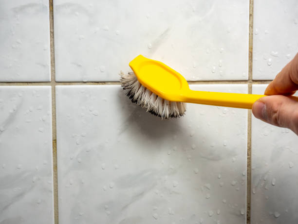 Best Commercial Mold Removal  in Yorba Linda, CA