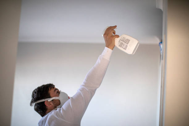 Best Mold Cleaning Services  in Yorba Linda, CA