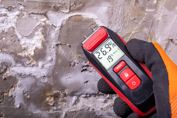 Best Mold Removal Company Near Me  in Yorba Linda, CA