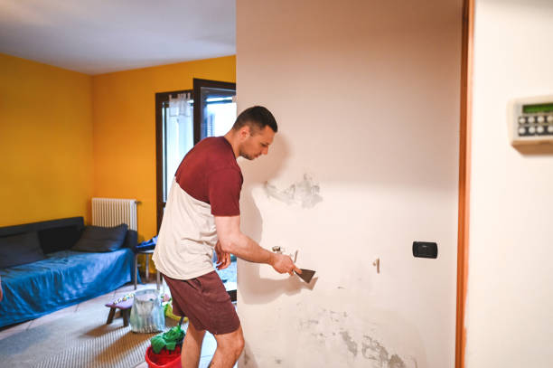 Crawl Space Mold Removal in Yorba Linda, CA