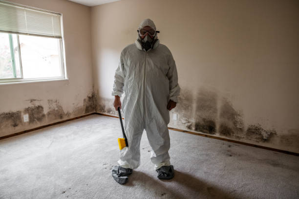 Best Crawl Space Mold Removal  in Yorba Linda, CA